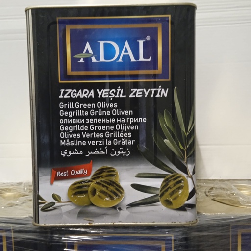 DOMATES IZGARA YESIL ZEYTIN (121-140) SÜZME 9KG